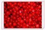 Sell Lingonberry Anthocyanin